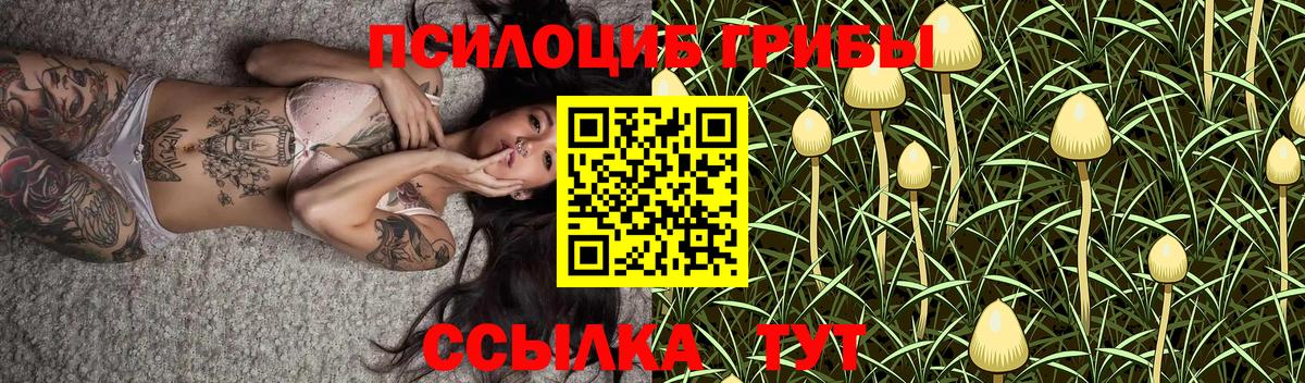Псилоцибиновые грибы прущие грибы Ставрополь
