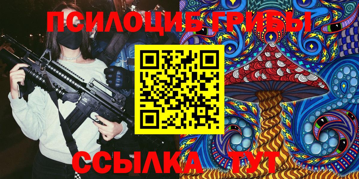 Ставрополь  Псилоцибиновые грибы Cubensis  Вход с VPN 