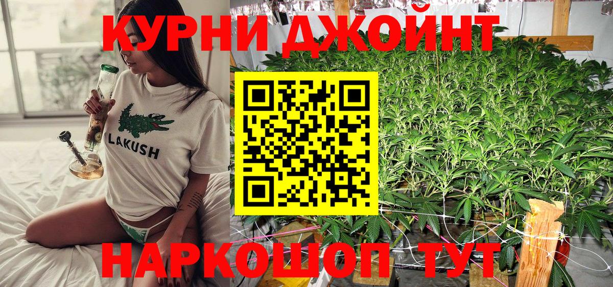 Конопля планчик Ставрополь